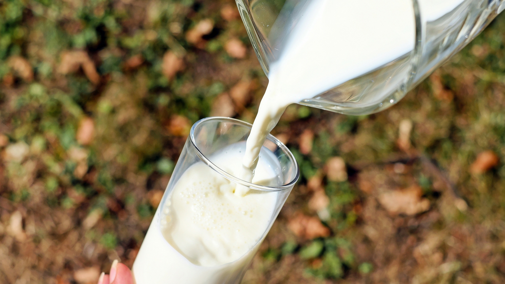 Study shows the rise of antimicrobial-resistant Staphylococci in the dairy industry
